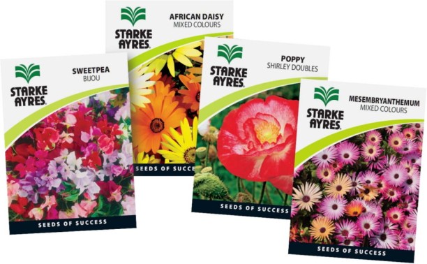 Starke Ayres Grass Seed