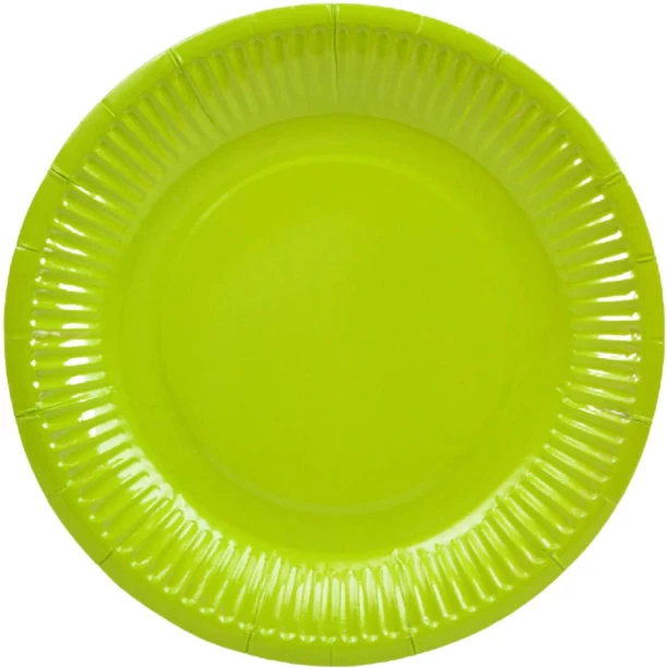 Party Plate 23.5cm Paper Plate Dinner Plate