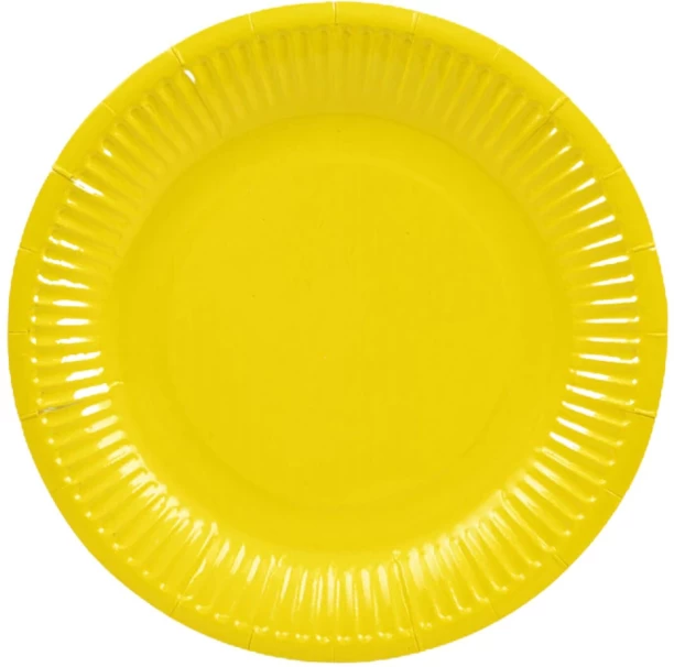 Party Plate 23.5cm Paper Plate Dinner Plate