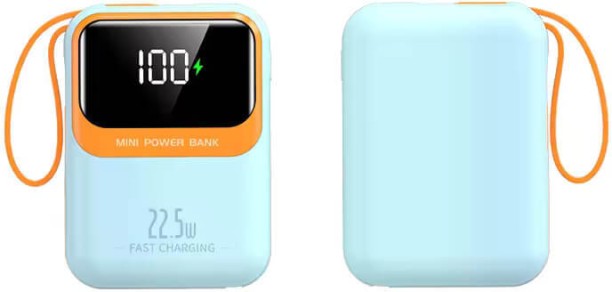 Perfect Dealz 10000 mAh Power Bank