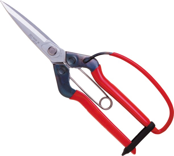 CHIKAMASA T-710GDX Chrome Plated Pruners Bypass Pruner