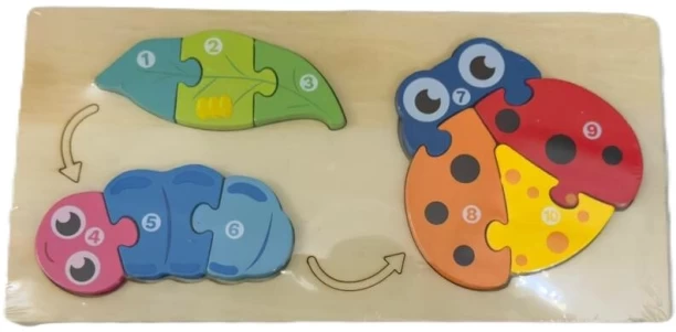 SPE Smart Starter Wooden Puzzles Wooden Puzzles