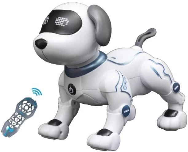 generic Robot Dog Toys for Kids, Remote Control Dog