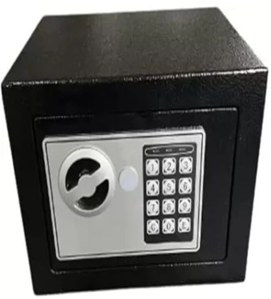 Generic DL-1 Safe Locker