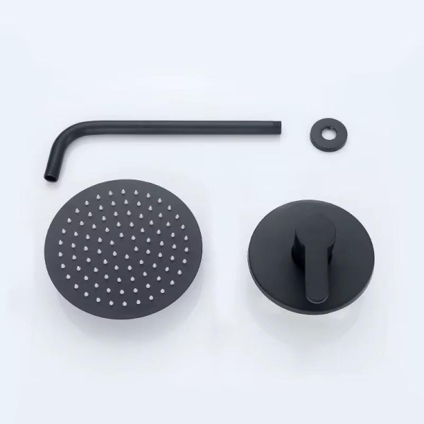 AA Handheld Shower Head