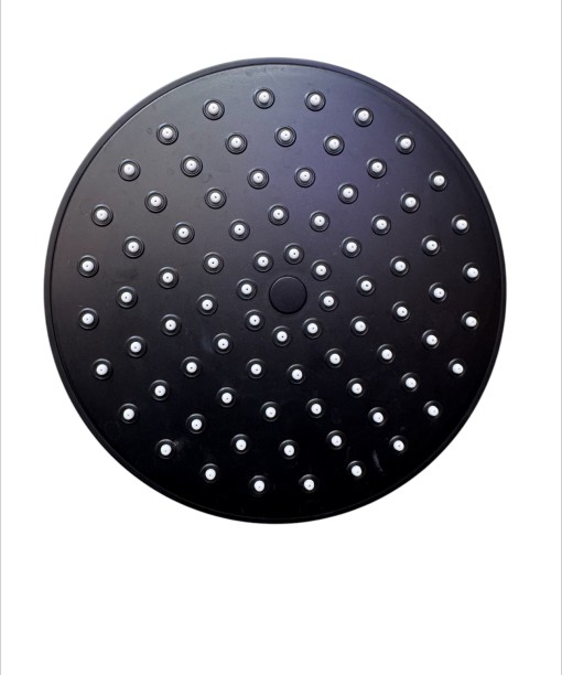 Goodace Fixed Mount Shower Head