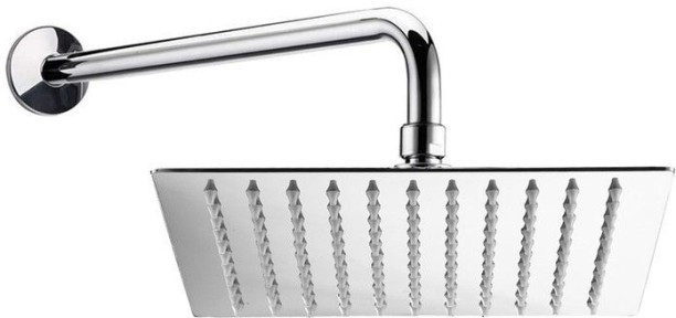 DS Handheld Shower Head