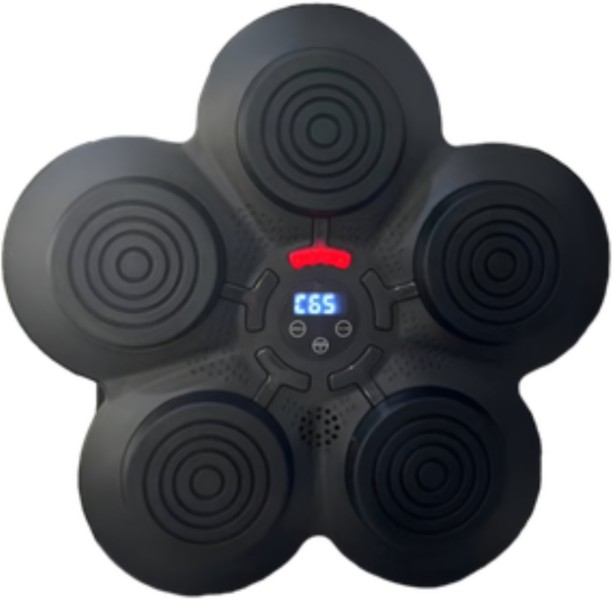 Vitaease Smart Wall-Mounted Music Boxing Machine with Led Lights Bluetooth Home Audio Speaker 2.0