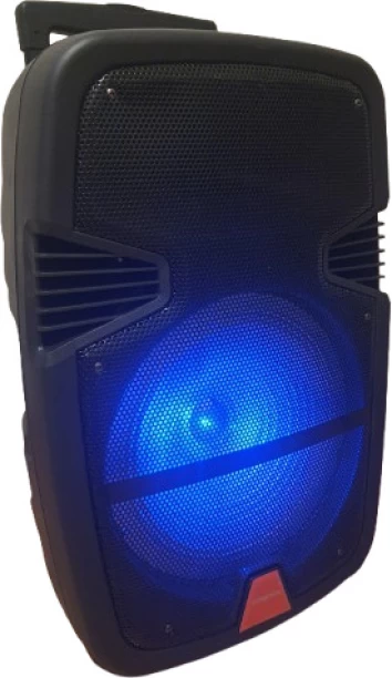 Finnteck 12 Inch Bluetooth Party Speaker Mono