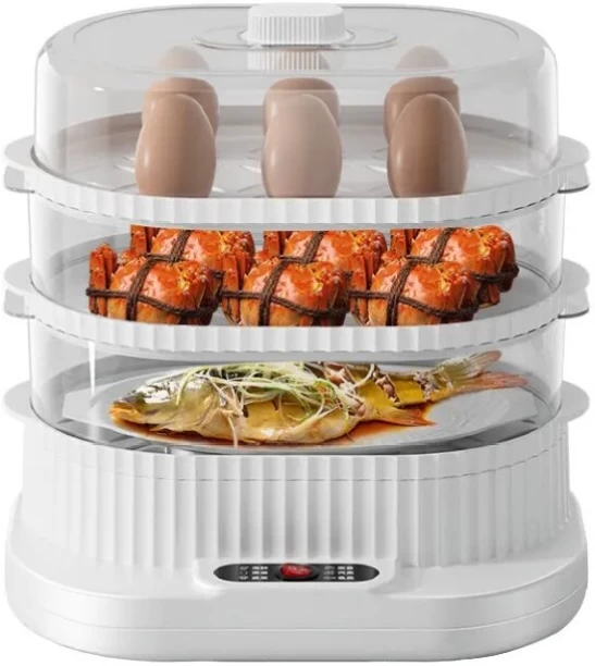 Condere ZD-001 Steamer