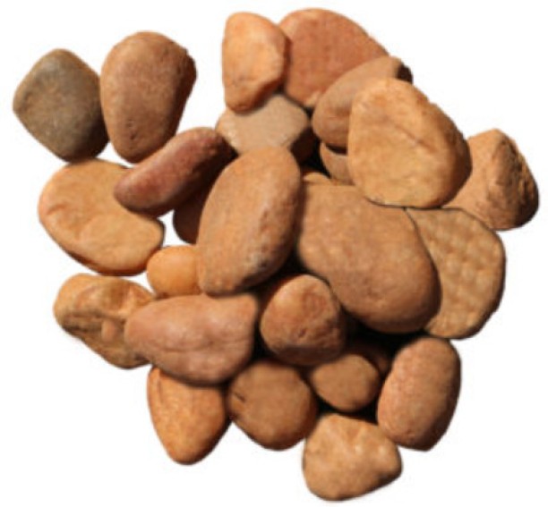 Culterra Glammo Stone Pebbels Medium (20kg) Regular Round Rock Stone