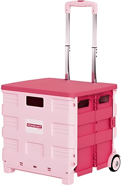 Homsmart Trolley 2 Storage Box