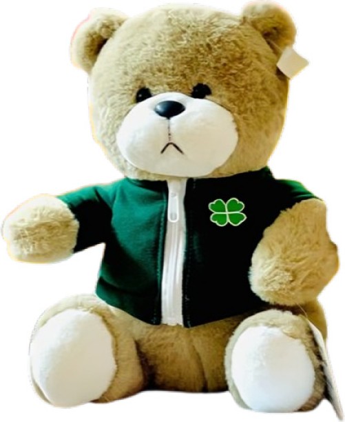 Generic Teddy Bear Plush Toy Green shirt  - NA