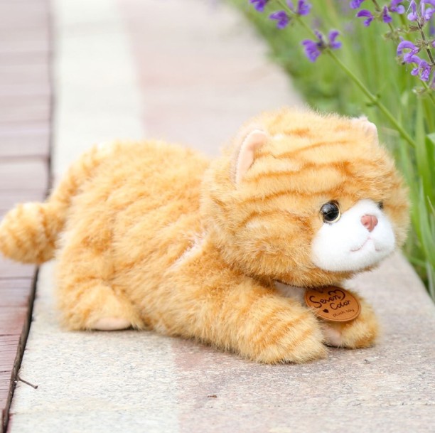 generic Plush Cat Doll Cute Soft Stuffed Animals Kitty Pet  - NA