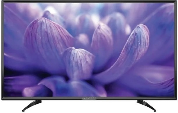 Maxdorf 99 cm (39 inch) LED HD Ready Flat-Panel TV