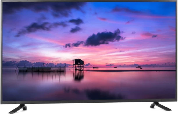 ecco 139 cm (55 inch) LED Ultra HD (4K) WebOS Smart TV