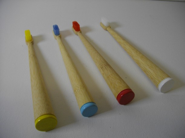 Panda Bamboo Toothrush Medium Toothbrush