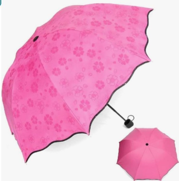 INV Umbrella Umbrella