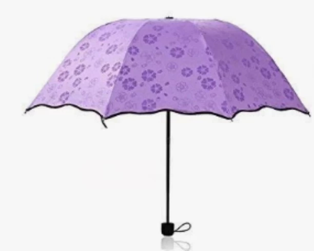 INV Umbrella Umbrella