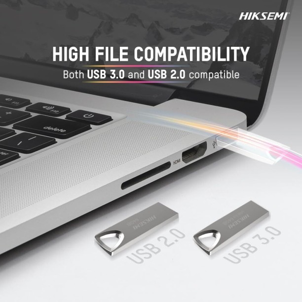 Hiksemi HikSemi Classic Flash Drive 8 GB