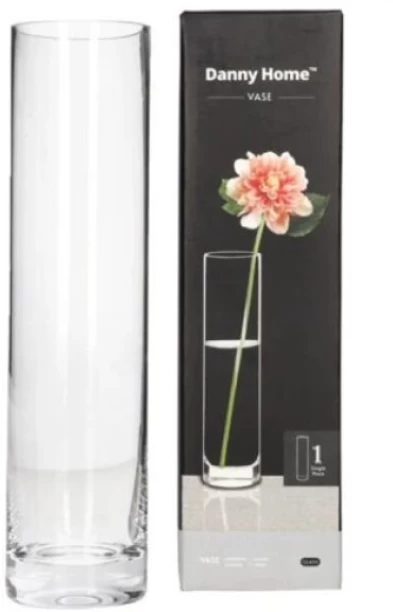 Danny Home Glass Plant Vase 25.1cm Glass Vase
