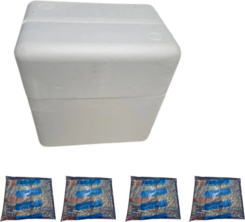 Styrofoam Box Polystyrene Cooler Box Makro Ice Pack Styro Cooler