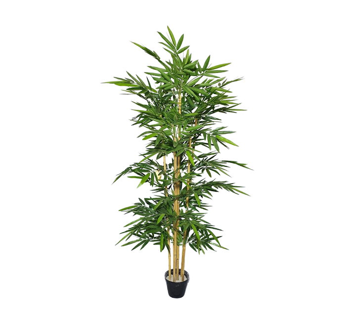 Artificial Bamboo tree6ft Makro