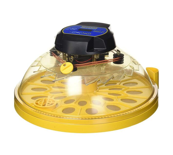 Brinsea Maxi 24 Advance Egg Incubator Makro