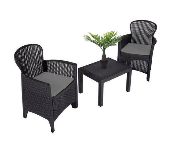 Italian Outdoor Furniture Set of 2 Chairs, 2 Pillows, 1 Table & Free Plant