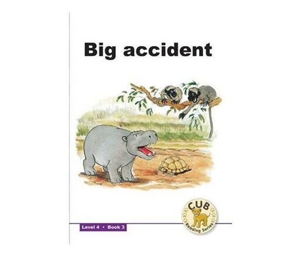 Big accident : Level 4, Book 3 : Foundation phase (Paperback / softback)