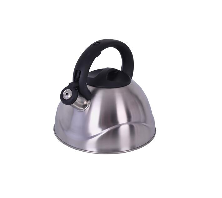 electric metal kettle
