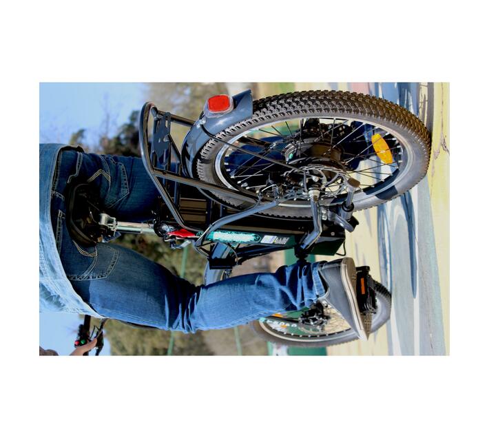 JUB TROPO 250 WATT ELECTRIC BICYCLE Makro