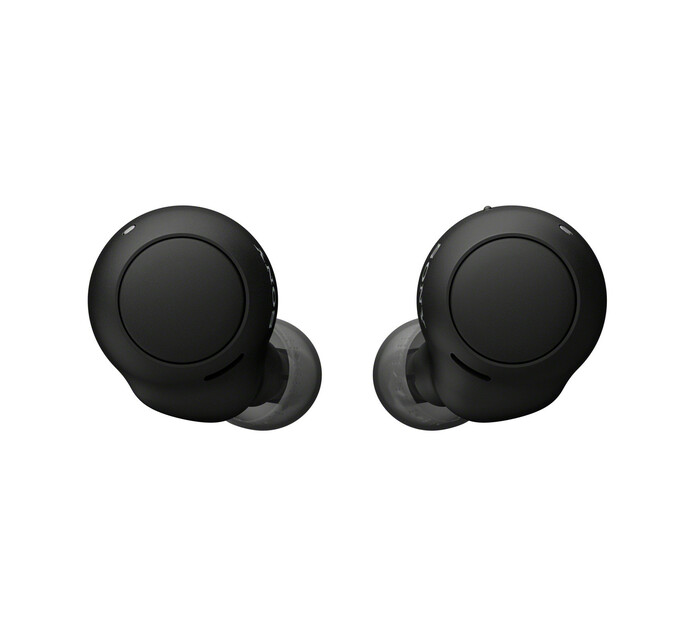 Sony True Wireless Earbuds Makro