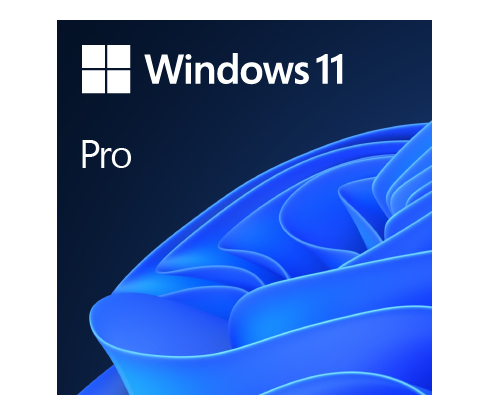 Windows 11 Pro 64 Bit DSP- Physical Product