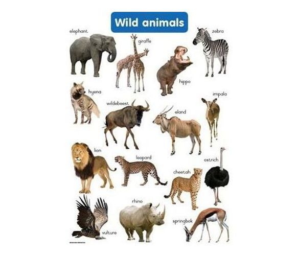 Wild animals: Grade R (Wallchart)