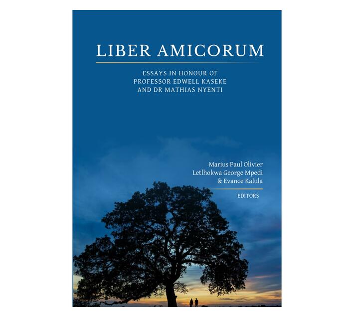 Liber Amicorum : Essays in honour of Professor Edwell Kaseke and Dr Mathias Nyenti (Paperback / softback)
