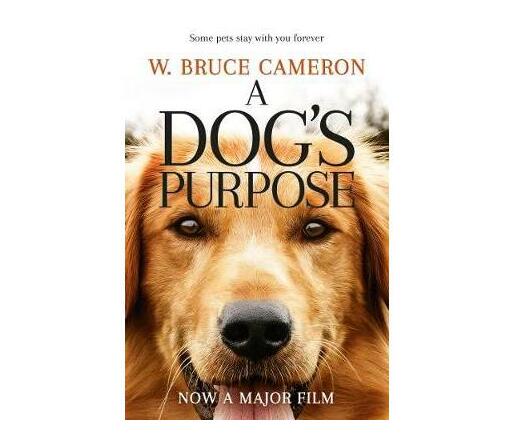 A Dog's Purpose (Paperback / softback)