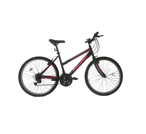 raleigh 24 mountain bike