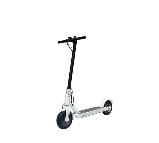 Rcharlance T10 (Folding Electric Kick Scooter) (WHITE)