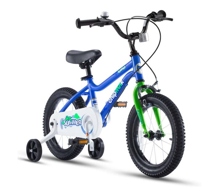 royalbaby 16 inch bike