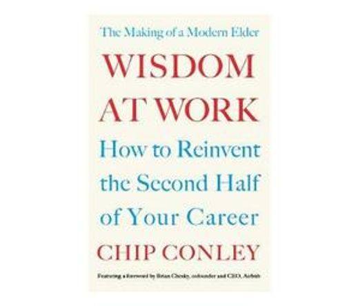 Wisdom at Work : The Making of a Modern Elder (Paperback / softback)