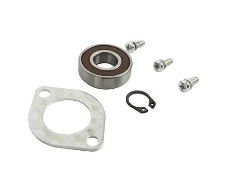 Polisher Service Kit Armature Front Bearing & Screws (21-25) For Pol02