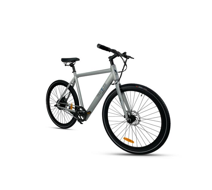 CITI Traveler EBIKE (Electric bike) Makro