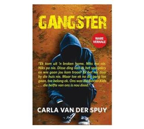 Gangster : Ware Verhale van Albei Kante van die Strydlyn (Paperback / softback)