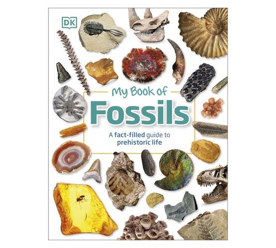 My Book of Fossils : A fact-filled guide to prehistoric life (Hardback)