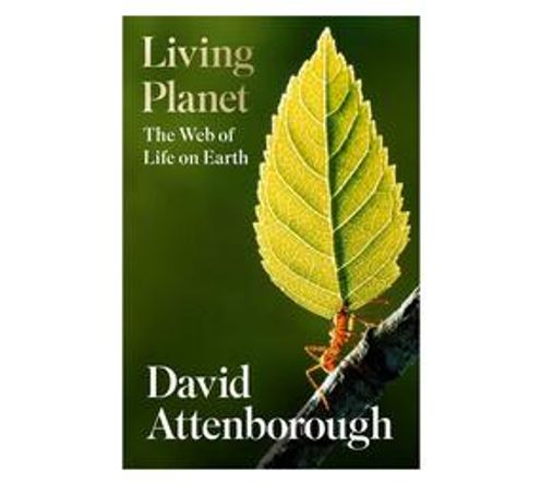Living Planet : The Web of Life on Earth (Paperback / softback)