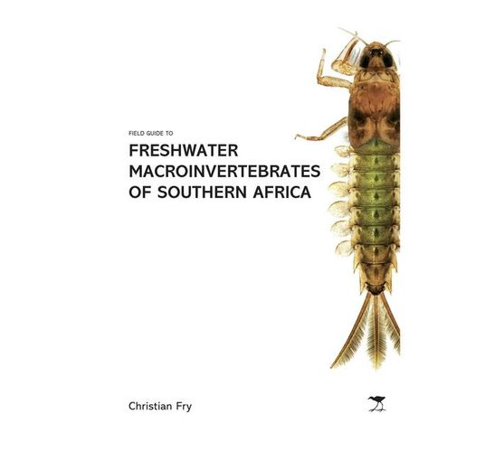 Field Guide to the Freshwater Macroinvertebrates of Southern Africa (Paperback / softback)