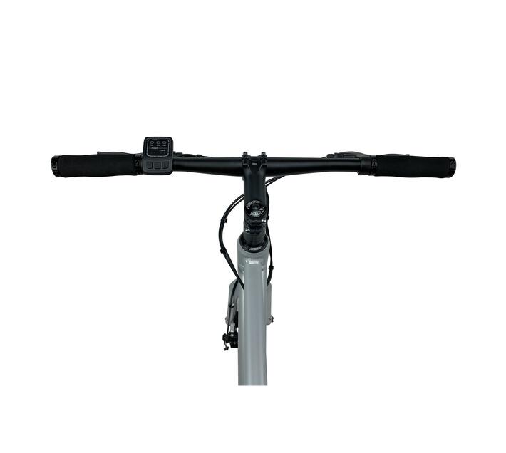 CITI Traveler EBIKE (Electric bike) Makro