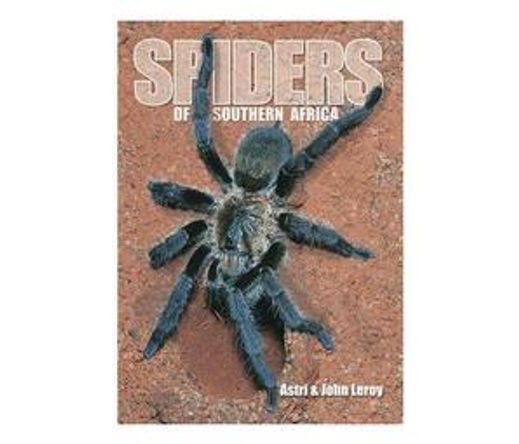 Spiders of Southern Africa