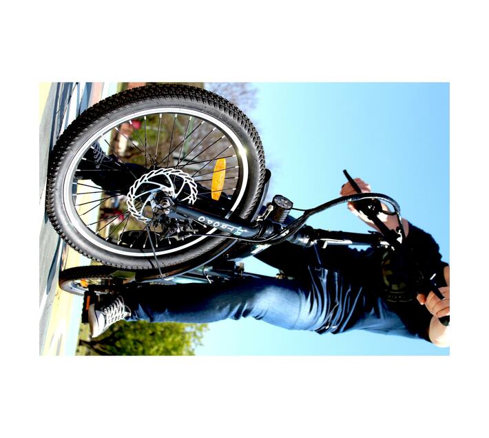 JUB TROPO 250 WATT ELECTRIC BICYCLE Makro